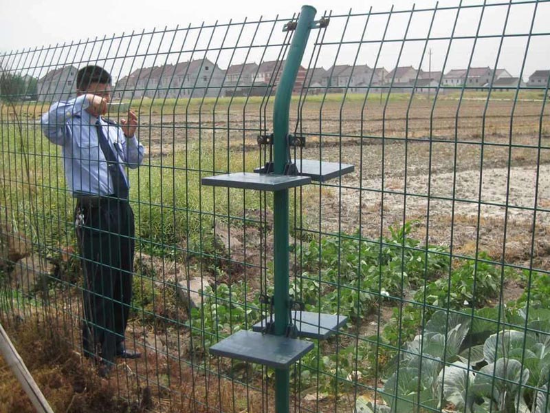 �p߅�z�o(h��)�ھW(w��ng)�DƬ