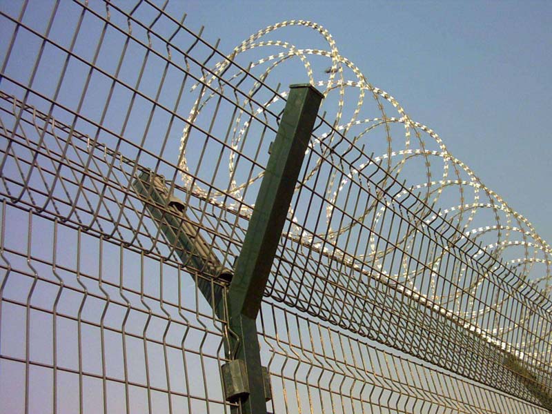 �C(j��)���o(h��)�ھW(w��ng)�DƬ